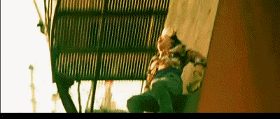 为什么每年还会有让人信服的佳片产生?