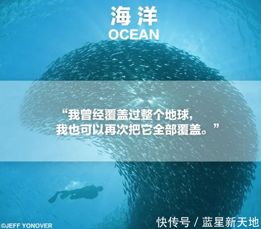 t0194c12240be88c210.jpg?size=1080x950