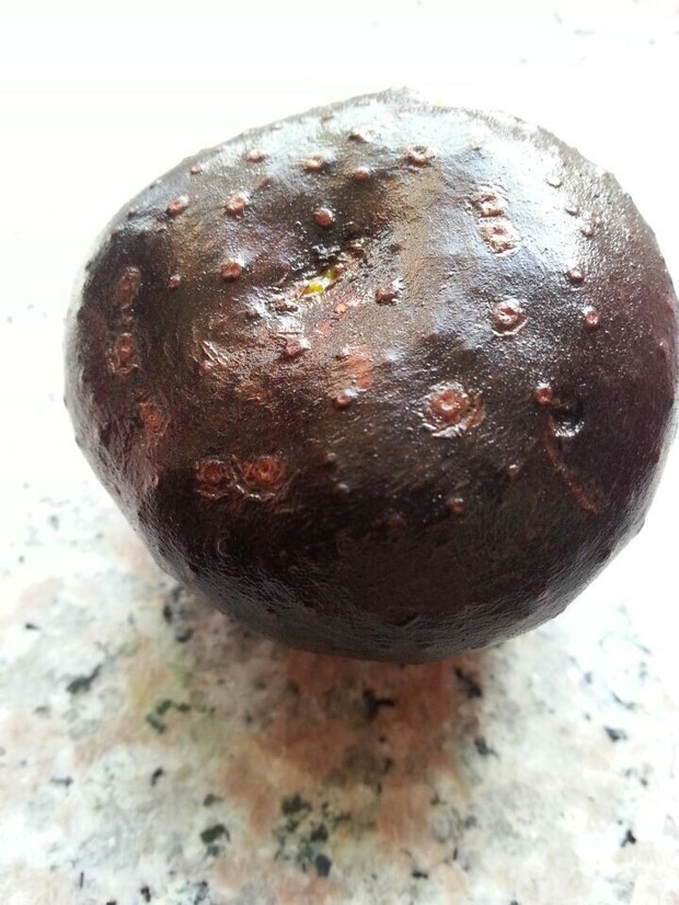 谁知道这花种子叫什么_360问答