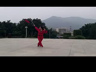 太极剑一剪梅 权凤表演