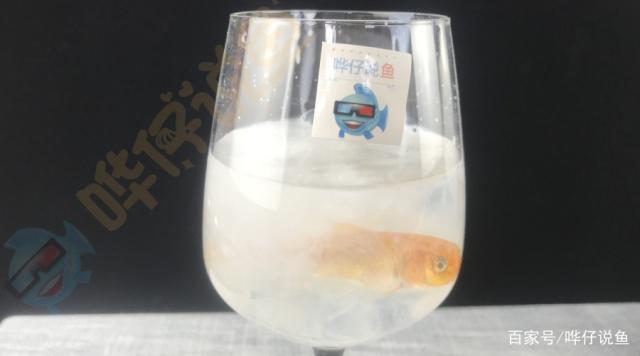 阜陽魚缸水景在哪里買的好呢（阜陽魚缸水景在哪里買的好呢視頻） 祥龍水族醫(yī)院