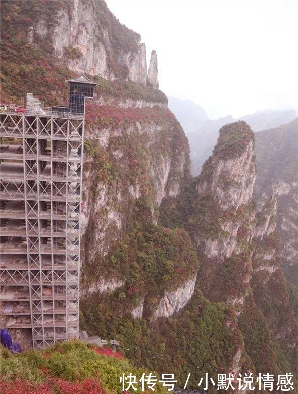 t0195d587edd0ad0039.jpg?size=590x780