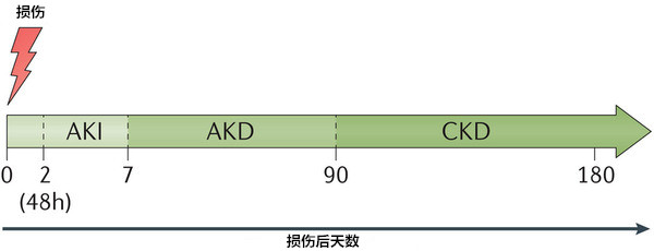 急性肾脏病，预防治疗知多少?