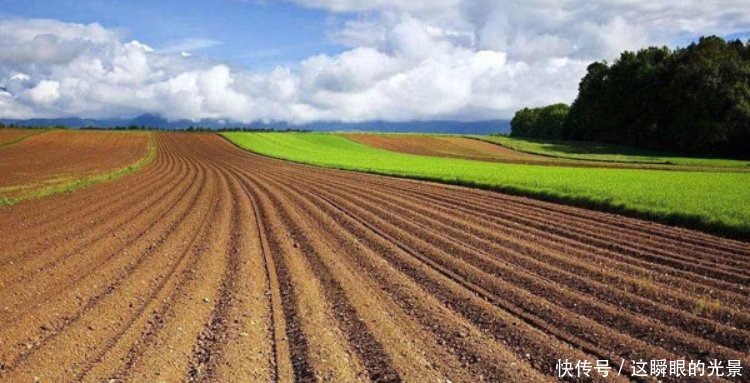 农民不种地也能拿补贴!国家拨付50.9亿补贴发