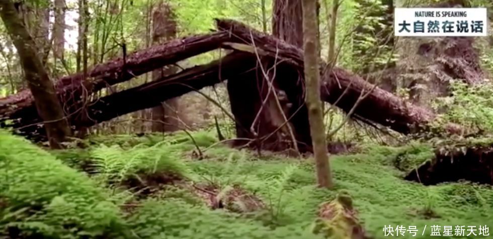 t01964d95e650bbc662.jpg?size=980x476