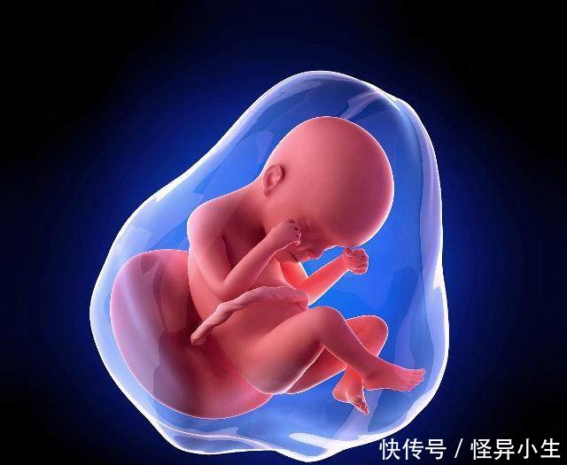 孕期肚子总是一跳一跳的,是胎动答案很神奇,