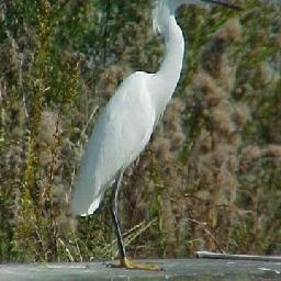 抒怀剑一剪梅 分解教学