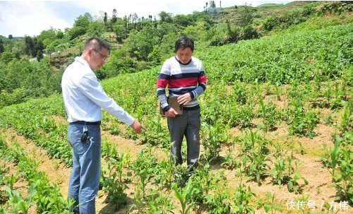 不种地还有钱拿, 每亩高达1600元, 涉及13个省, 你领到了吗?