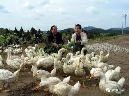 2018年农村贫困户的几项补贴你拿到了没!