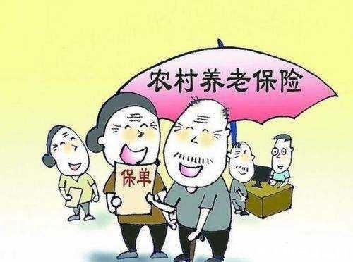 农村养老保险怎么买