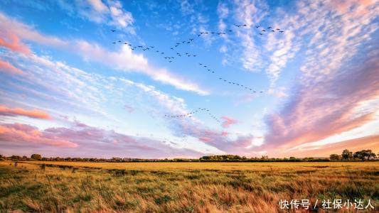 私企有退休金吗