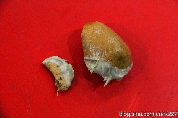 那为什么猫山王榴莲 那 么 贵_360问答