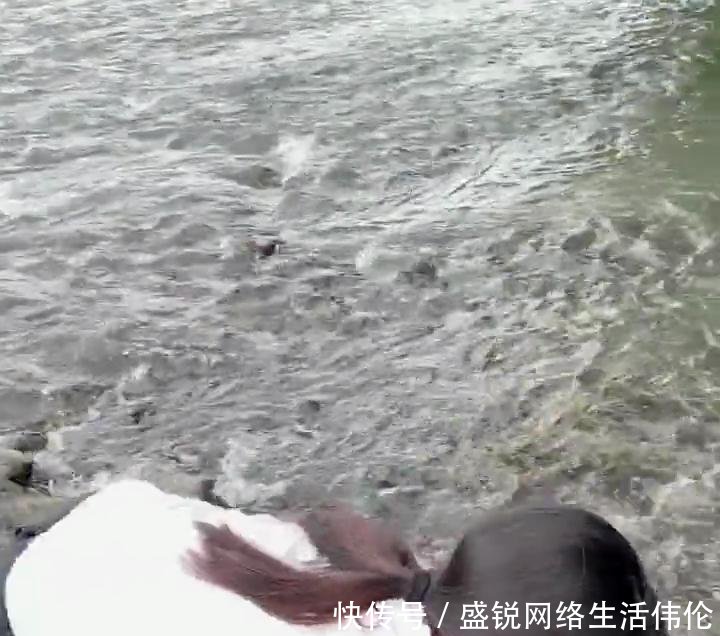 河边视频美女抓鱼的胶带,美女a视频,封嘴形象短裤富有魅力穿着图片
