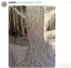 《全职猎人》作者富坚义博推特再更新:神秘大树