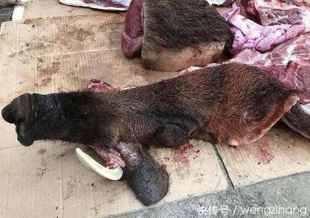农村大集上的“猪肉”50元一斤,男子刚想买,摊主却说:晚了!