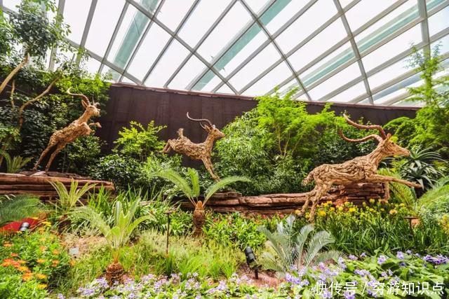 这是什么节奏?新加坡竟然花了10亿打造“原始森林”