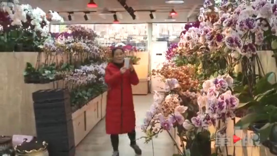 买鲜花过年成时尚 繁花盛景年味浓浓
