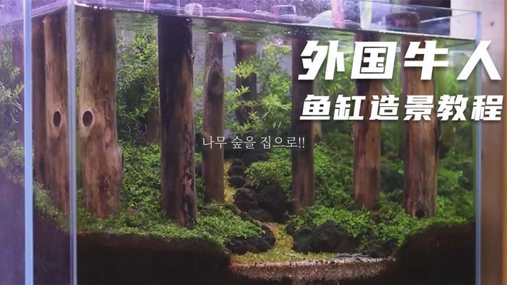 鄭州維修魚缸（鄭州維修魚缸電話） 其他品牌魚缸