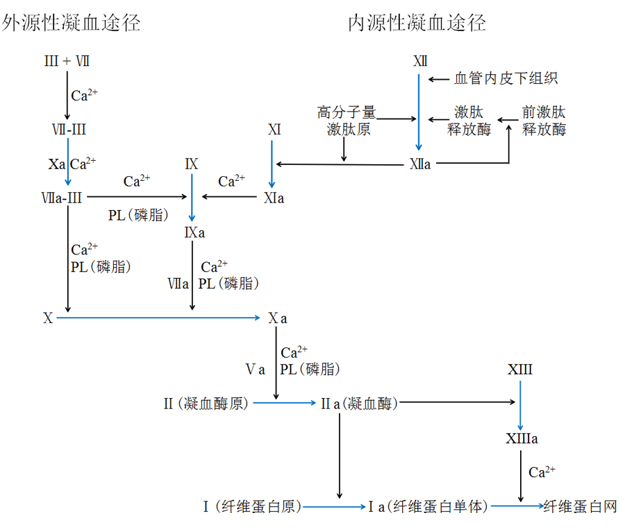 你能从\"凝血四项\"里看到多少信息?知识汇总,干货满满!
