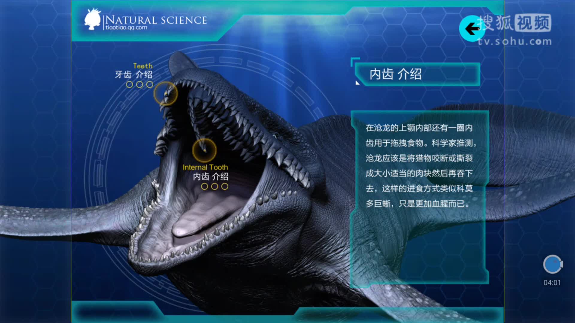 认识恐龙 沧龙儿童故事绘本 童话故事动画视频 儿童睡前小故事大全 .