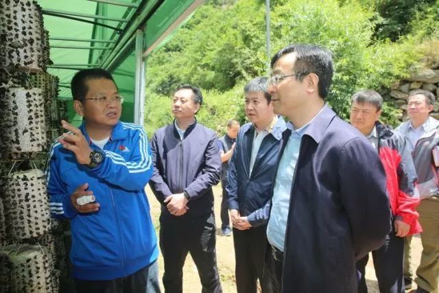 五星级\"店小二\"出动!这个周末钟书记又去哪儿啦?