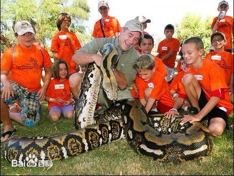 最大蛇类排行:第二名蛇吞象,第一大到难以想象!