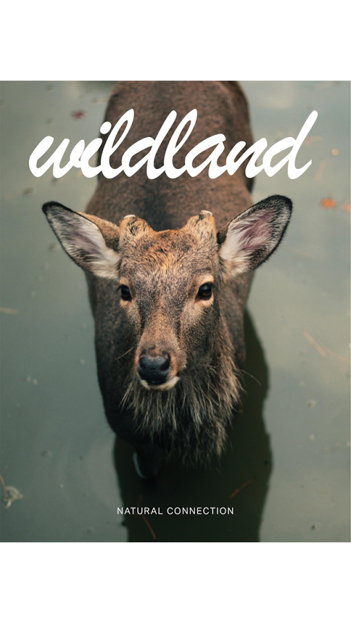 wildland magazine