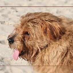 来感受一下吴亦凡面条又长又宽freestyle的完整