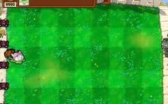 【PVZ】100猫咪vs100气球谁会赢？