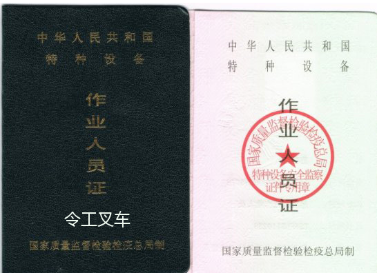 t01a62871ff9b19c272.png