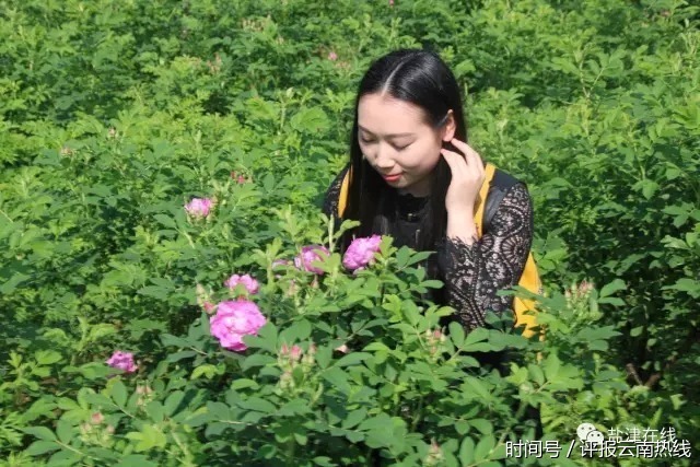 来盐津牛寨敦厚,谈棋论道,赴一场美女与玫瑰之约