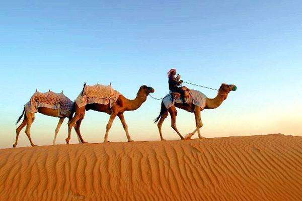 中东地区国家到底有多少? 有多大? 排名给你看