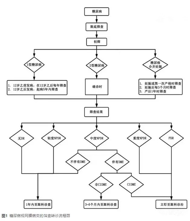 《糖尿病视网膜病变专家共识》解读