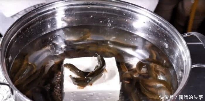 泥鳅钻豆腐真是名不虚传,老师傅当场演示做法,难怪大家做不出来 pp电子