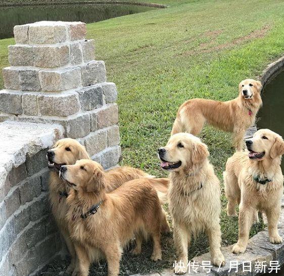 疗养院是干什么的