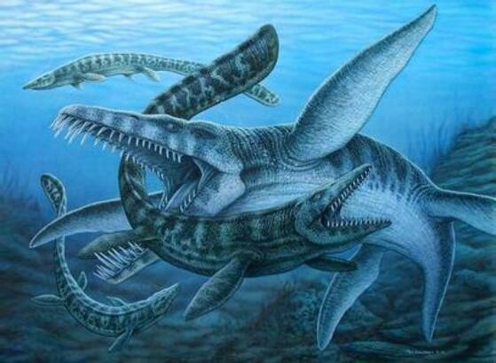 恐龙类海洋霸主-上龙,食物链最顶端的存在(一口