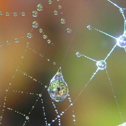 【爱尼玛热游】1美丽水世界 全场最佳毒气囊 