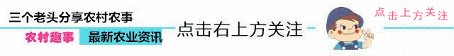 婚姻法新规定,离婚时无论谁的过错,3种财产只会分给归男方!