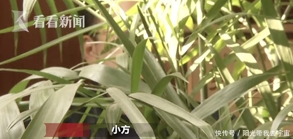 男子用手机找特殊服务 等来的却是连环套路.最