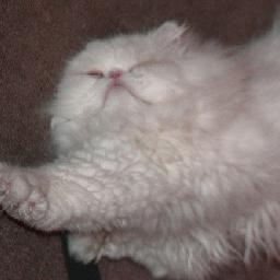 北漂男巫蛊描声舞