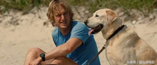 推荐十部关于狗的电影,第一部就看哭,卓别林有