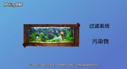 鱼缸放底沙水浑浊（鱼缸放底沙水浑浊怎么办）