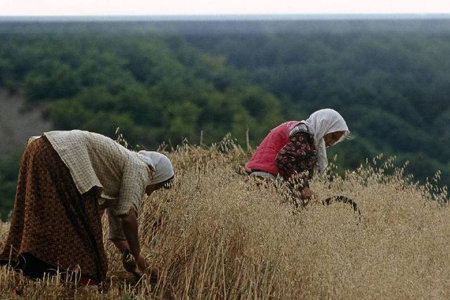 我国援助几十年的国家,对中国游客实行免签,网
