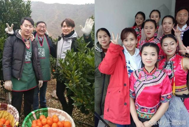 赵丽颖李易峰照片-杨幂唐嫣-钟汉良鹿晗节目-任