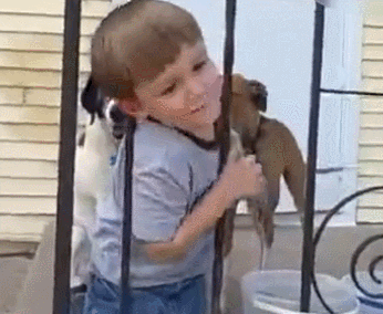 贪玩的熊孩子被花式卡住头