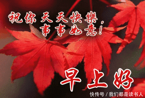 早上好祝福语动态图片_早上好祝福语图片剧情介绍