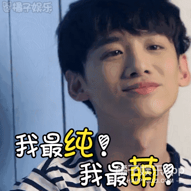 【表情包】白敬亭变身白读书,掀桌踢狗窝成