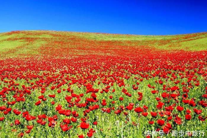 快到五一小长假了, 这几个人少好玩的地方别错过