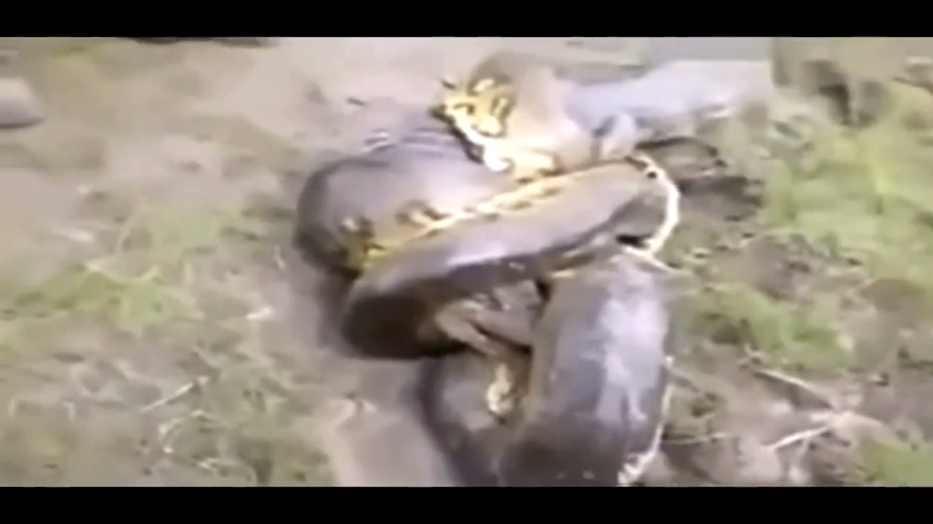 四川泸州发生3.6级地震 震源深度2千米_新闻_