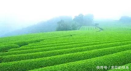 厉害了,河南这5个县市区被教育部点名,未来发展要逆天!